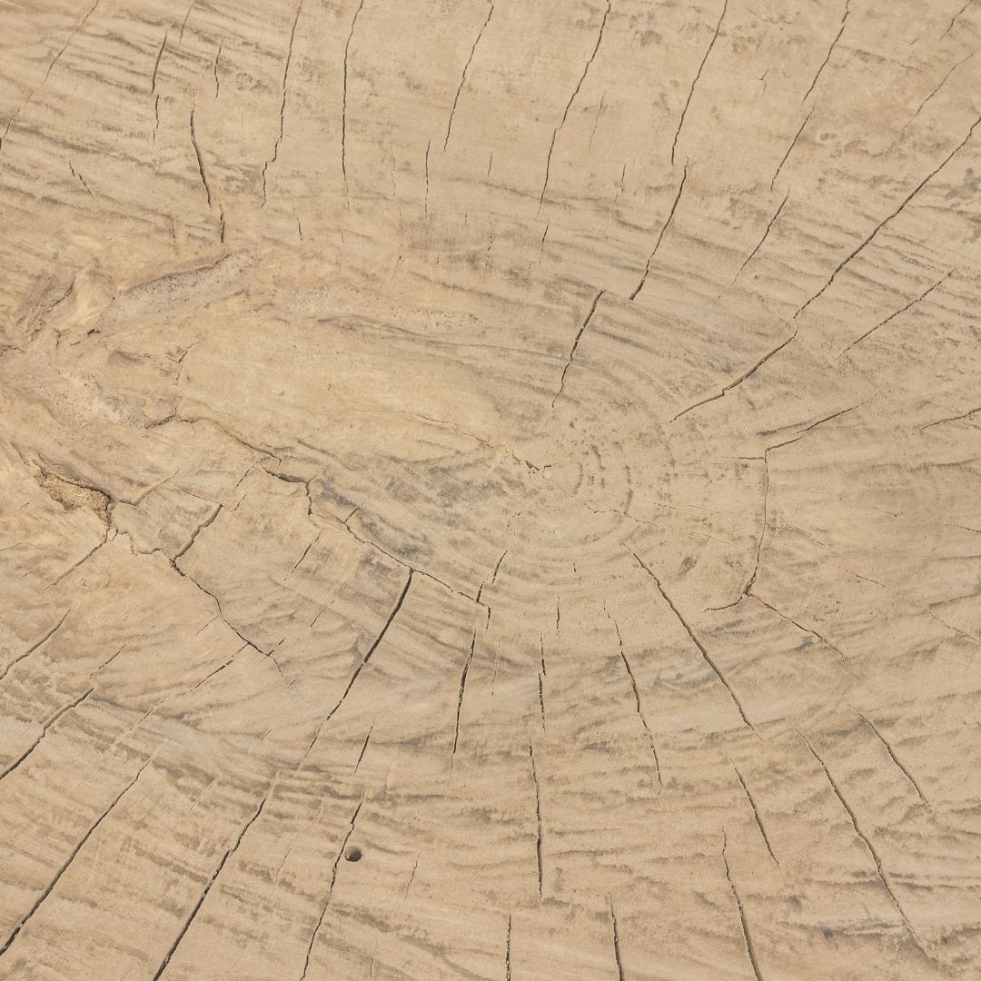 Table basse Olia
