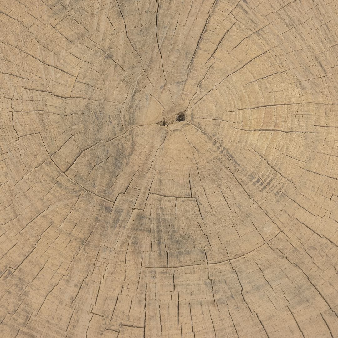 Table basse Olia