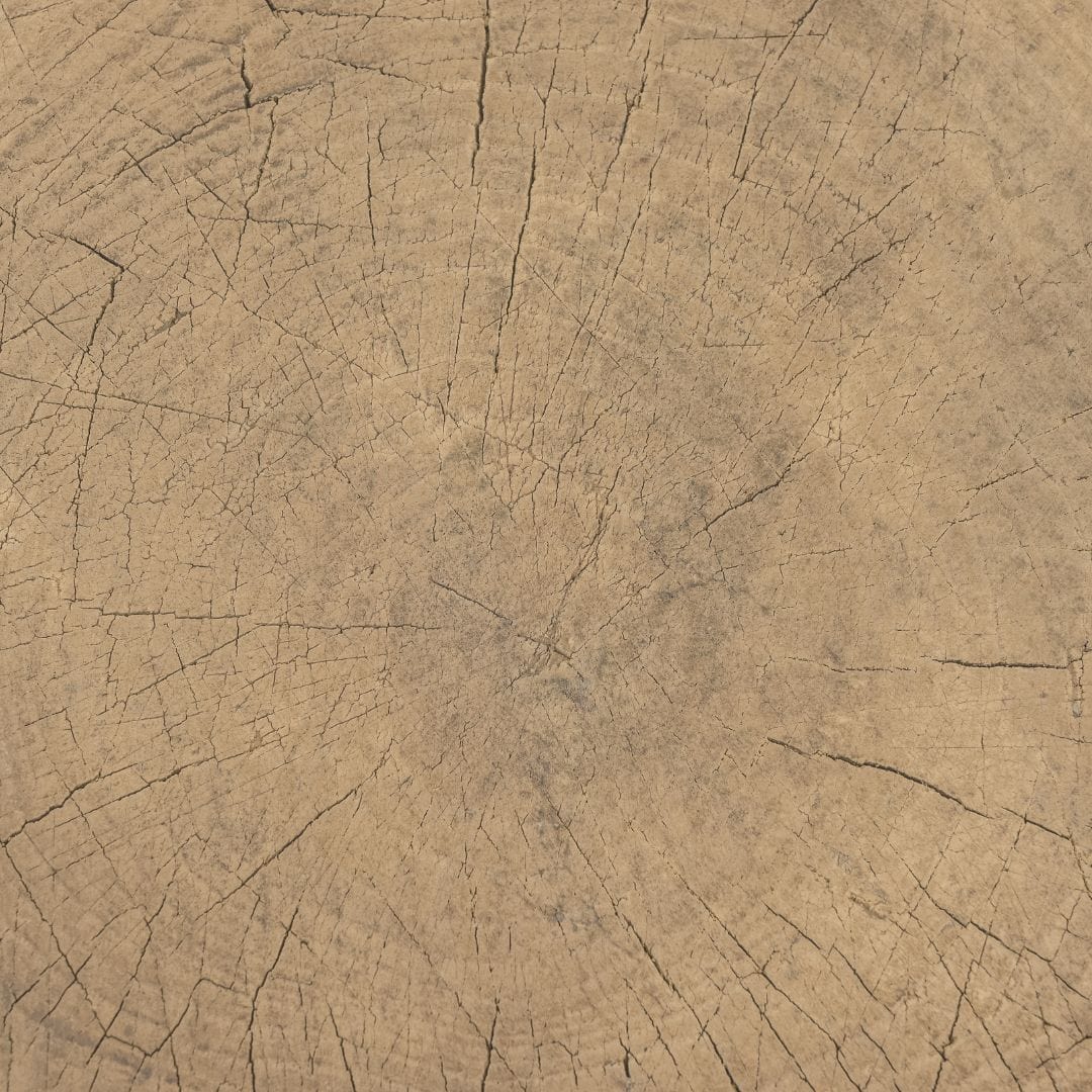 Table basse Olia