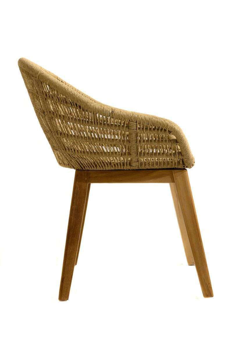 Chaise organique